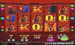Free Online Pokie Games Australia Free Online Pokie Games Australia