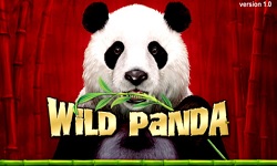 free casino slots wild panda