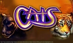 https://www.bestonlinecasinos.com/app/uploads/2018/10/cats-1.jpg