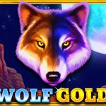 Wolf Gold